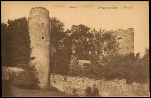 Ansichtskarte Frauenstein (Erzgebirge) Burgruine 1921