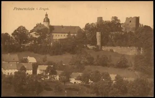 Ansichtskarte Frauenstein (Erzgebirge) Partie an der Stadt 1921