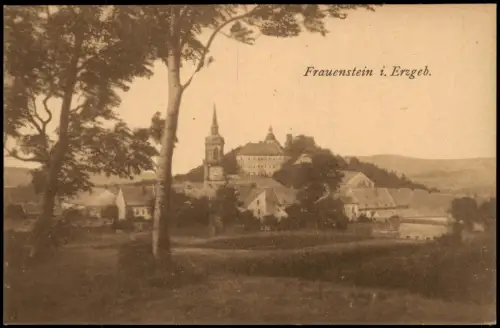 Ansichtskarte Frauenstein (Erzgebirge) Bäume - Blick auf die Stadt 1921