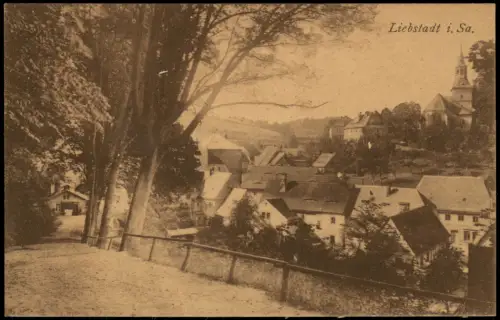 Ansichtskarte Liebstadt Hütte und Stadtblick 1922