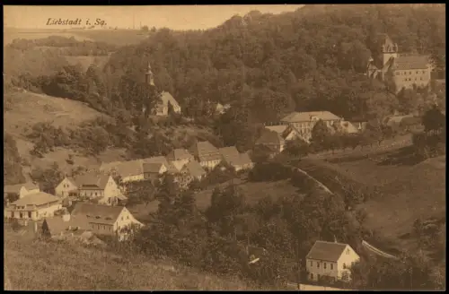 Ansichtskarte Liebstadt Blick auf Stadt und Schloß 1922