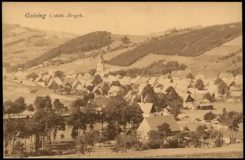 Ansichtskarte Geising-Altenberg (Erzgebirge) Stadtpartie 1922