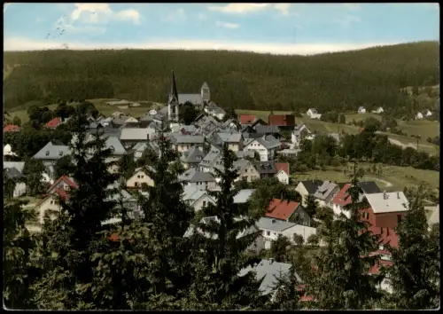 Ansichtskarte Bischofsgrün Panorama-Ansicht 1966