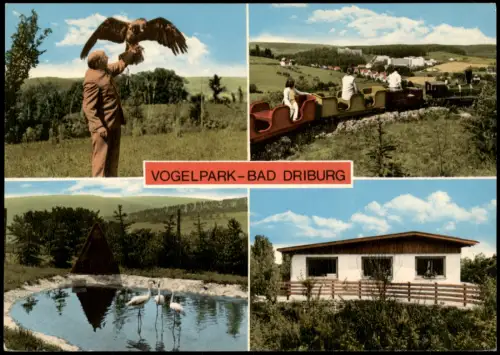 Ansichtskarte Bad Driburg Vogelpark (Mehrbildkarte) 1960