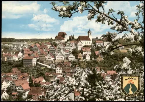 Ansichtskarte Altensteig Panorama-Ansicht 1971