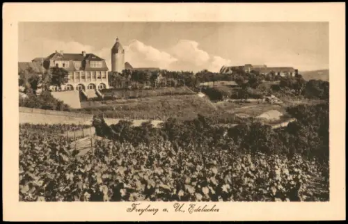 Ansichtskarte Freyburg (Unstrut) Edelacker und Stadt 1920