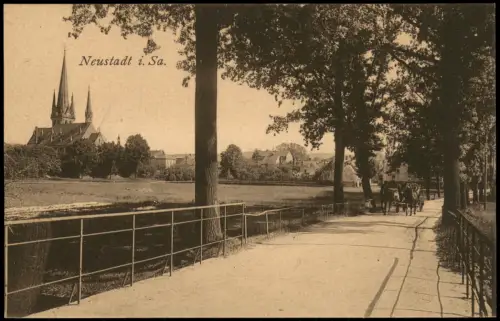 Ansichtskarte Neustadt (Sachsen) Allee Pferdekutsche Stadt 1920
