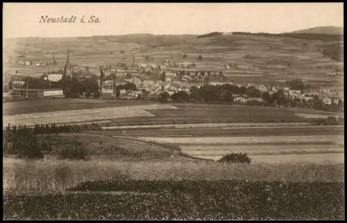 Ansichtskarte Neustadt (Sachsen) Fernblick auf die Stadt 1920