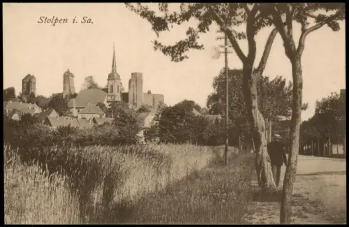 Ansichtskarte Stolpen Straßenpartie zur Stadt 1920