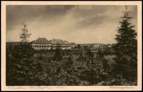 Reitzenhain-Marienberg im Erzgebirge Blick auf das Genesungsheim 1923