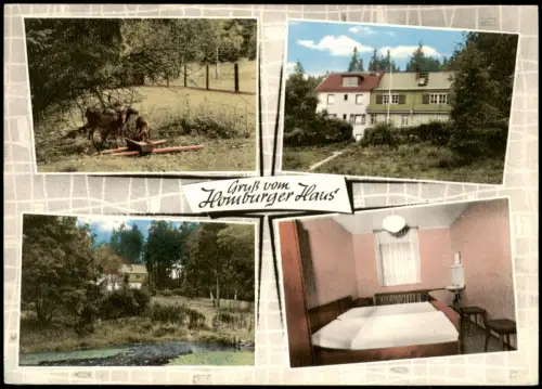 Arnoldshain Schmitten   HOMBURGER NATURFREUNDEHAUS im Taunus Mehrbildkarte 1965