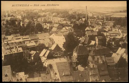 Ansichtskarte Mittweida Blick vom Kirchturm 1913