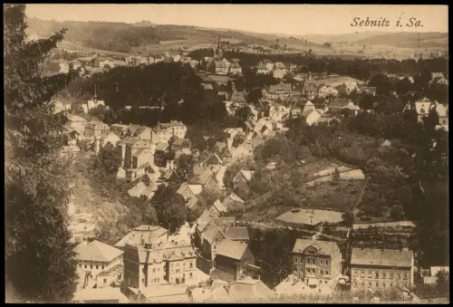 Ansichtskarte Sebnitz Blick auf die Stadt 1924