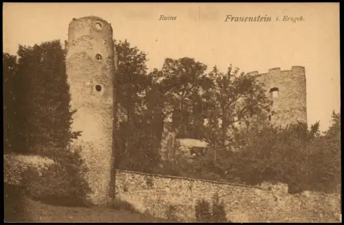 Ansichtskarte Frauenstein (Erzgebirge) Burgruine 1921