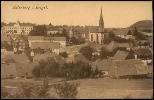 Ansichtskarte Altenberg (Erzgebirge) Blick über die Stadt 1914