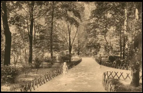 Ansichtskarte Neustadt (Sachsen) Anlagen am Bahnhof 1913