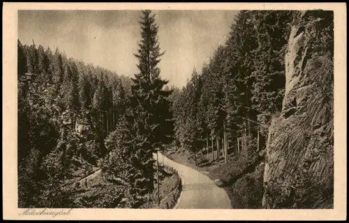 Ansichtskarte Olbernhau Natzschungtal/Erzgebirge 1928