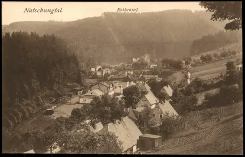Ansichtskarte Rothental-Olbernhau Natschungtal Rothental 1923