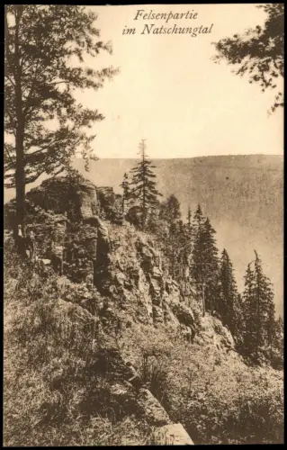 Ansichtskarte Olbernhau Natzschungtal Erzgebirge Felsenpartie 1923