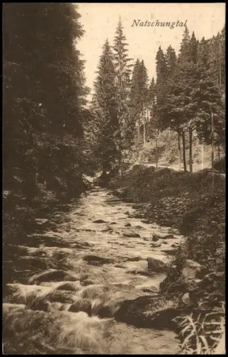 Ansichtskarte Olbernhau Natzschungtal Erzgebirge Flußpartie 1923