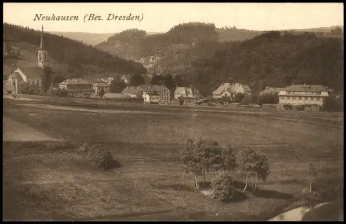 Ansichtskarte Neuhausen (Erzgebirge) Blick vom felde auf die Stadt 1923
