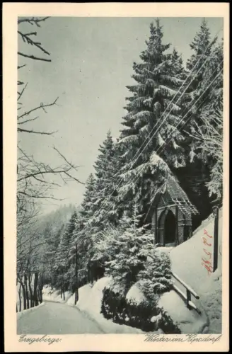 Ansichtskarte Kipsdorf-Altenberg (Erzgebirge) Pavillon Erzgebirge Winter 1925