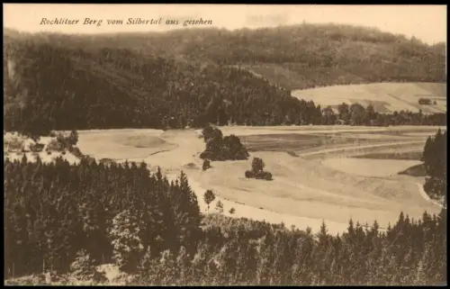 Ansichtskarte Rochlitz Rochlitzer Berg vom Silbertal aus gesehen 1924