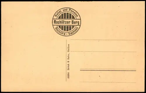 Ansichtskarte Rochlitz Rochlitzer Berg vom Silbertal aus gesehen 1924