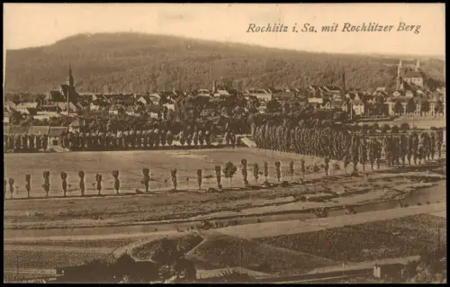 Ansichtskarte Rochlitz Rochlitzer Berg und Stadt 1924