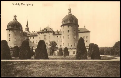 Ansichtskarte Moritzburg Kgl. Jagdschloss - Bäume 1930