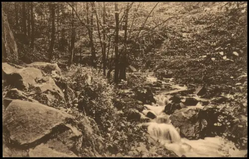Ansichtskarte Rochsburg-Lunzenau Im Brausetal 1924