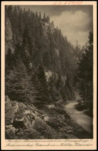 Ansichtskarte Reitzenhain-Marienberg im Erzgebirge Schwarzwassertal 1928
