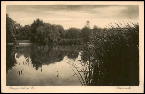 Ansichtskarte Burgstädt Stadtpark Wasserturm 1924