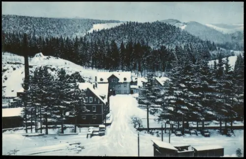 Ansichtskarte Kipsdorf-Altenberg (Erzgebirge) Buschmühle im Winter 1924