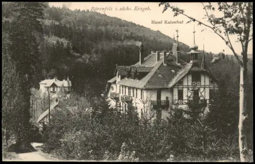 Bärenfels (Erzgebirge)-Altenberg (Erzgebirge) Hotel Kaiserhof 1913