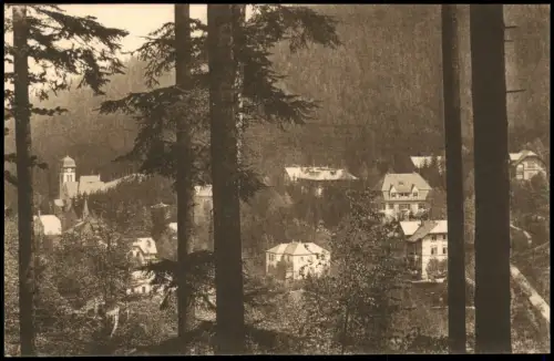 Ansichtskarte Kipsdorf-Altenberg (Erzgebirge) Panorama 1926