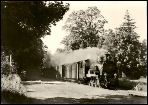 Rügen Schmalspurbahn Putbus-Göhren: Frühzug in Philippshagen 1977
