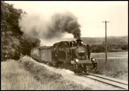 Ansichtskarte Rügen Schmalspurbahn in der Steigung vor Garftitz 1977