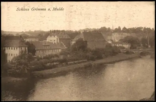 Ansichtskarte Grimma Schloss und Mulde 1923