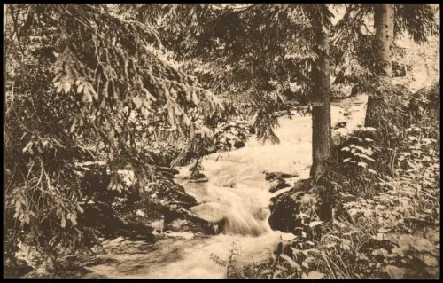 Postcard Natschung-Kallich Načetín Kalek Im Natschungtal 1914