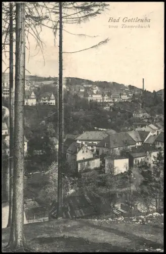 Ansichtskarte Bad Gottleuba-Berggießhübel vom Tannenbusch 1923