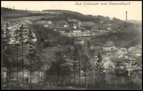 Ansichtskarte Bad Gottleuba-Berggießhübel Stadt vom Tannenbusch 1923