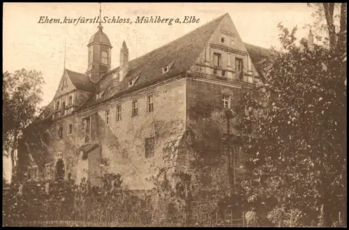 Ansichtskarte Mühlberg/Elbe Miłota Eingang zum Schloß 1912