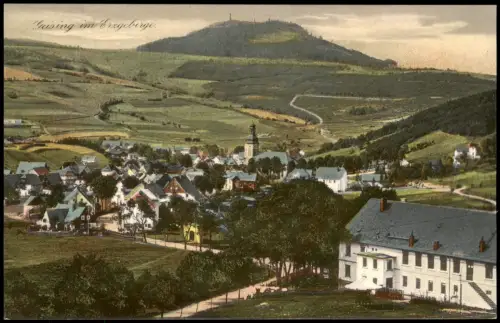 Ansichtskarte Geising-Altenberg (Erzgebirge) Fernblick auf Stadt und Berg 1924