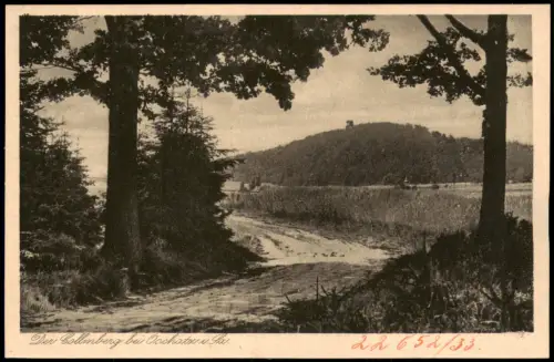 Ansichtskarte Collm-Wermsdorf Waldweg - Fernblick Collmberg 1924