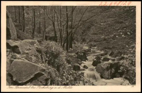 Ansichtskarte Rochsburg-Lunzenau Brausetal an der Mulde 1924