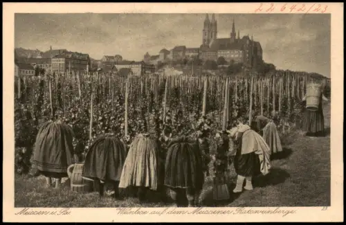 Ansichtskarte Meißen Frauen bei der Rotweinlese 1924