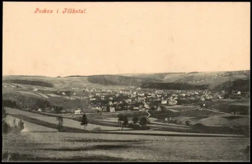 Ansichtskarte Pockau (Erzgebirge) Blick auf die Stadt 1914