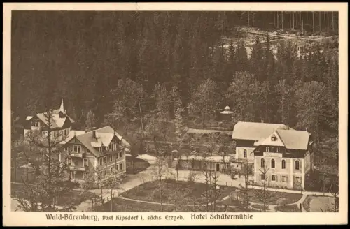 Ansichtskarte Waldbärenburg-Altenberg (Erzgebirge) Hotel Schäfermühle 1914