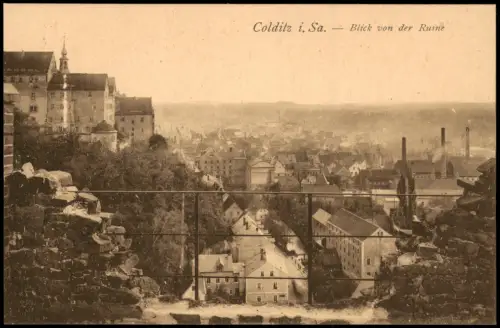 Ansichtskarte Colditz Blick von der Ruine auf die Stadt 1914